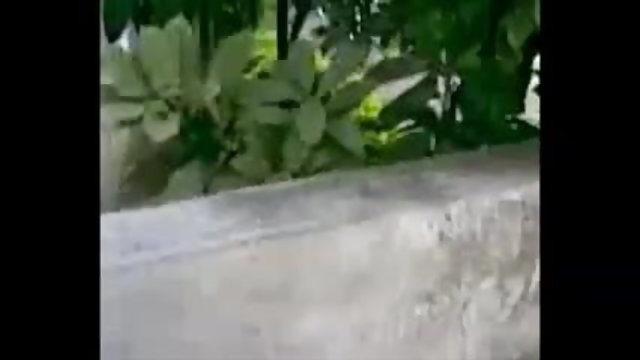 فحش آن لائن کوئی رجسٹریشن دیسی ہندی ویڈیو ڈاؤن لوڈ ، اتارنا بھارتی لڑکی جینس میں ، اتارنا کرسی پر